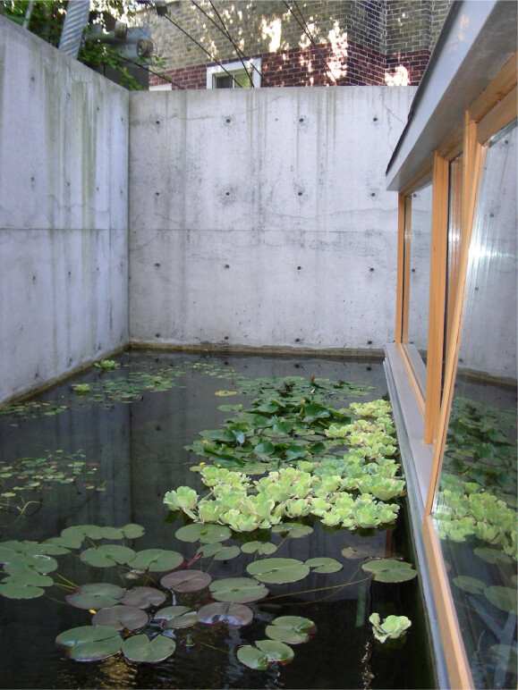 Outdoor Pond